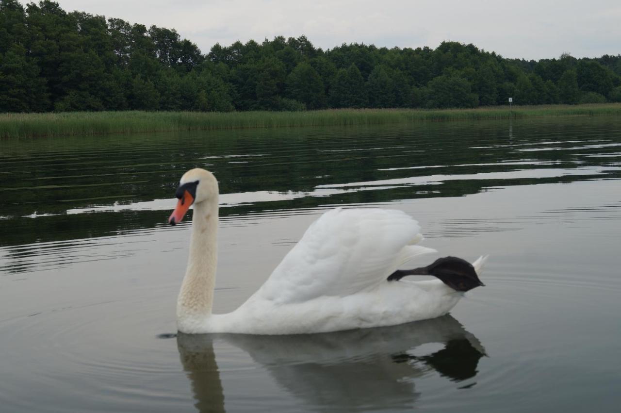 Haus Am See Storkow  Dış mekan fotoğraf